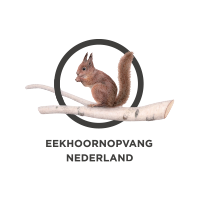 Eekhoornopvang Nederland