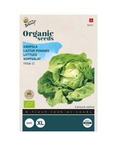 Buzzy® Organic Lettuce - Hilde II (BIO)